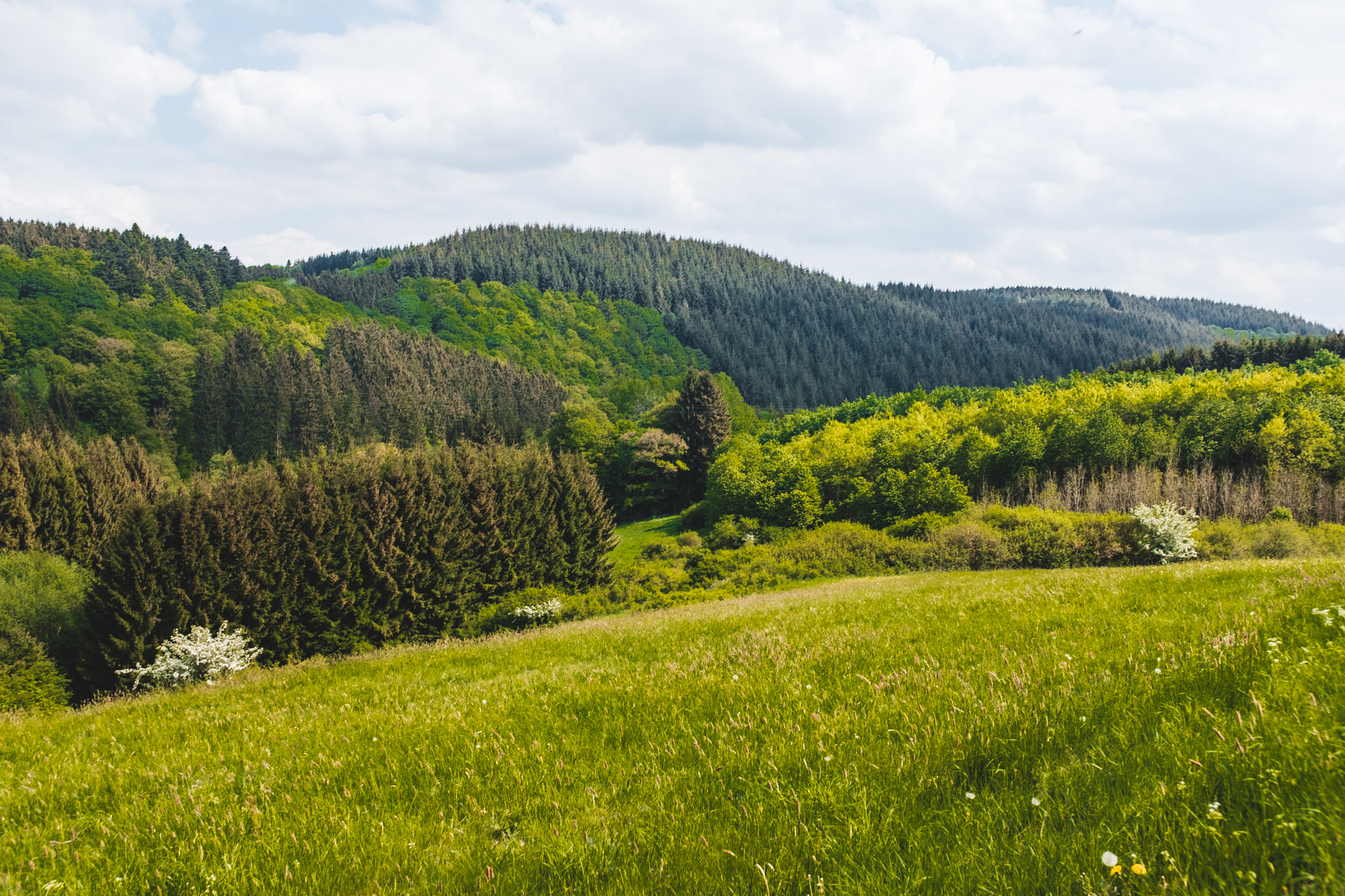 201805_Eifel-Omhoog_web-2019